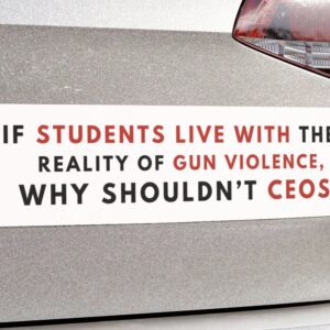 Deny Defend Depose bumper magnet, Deny Defend School shooting