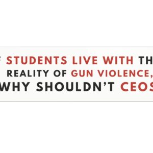 Deny Defend Depose bumper magnet, Deny Defend School shooting