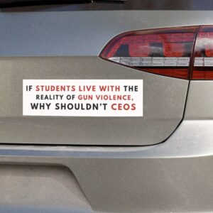 Deny Defend Depose bumper magnet, Deny Defend School shooting