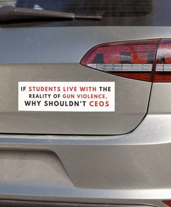 Deny Defend Depose bumper magnet, Deny Defend School shooting