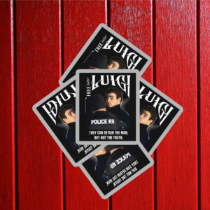 They Can Detain The Man, But Not The Truth, Luigi Mangione Sticker ,Car Magnet