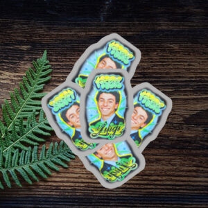 Offcial Free Luigi Deny Defend Depose Sticker ,Car Magnet